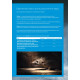Storm BASF восковые брикеты 1 кг